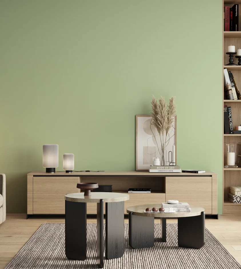 P10_SNIEZKA_salon_00_neutral_GREY_S0520-G30Y