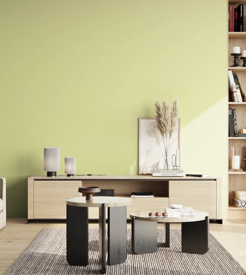 P10_SNIEZKA_salon_02_poludnie_GREY_S0520-G70Y
