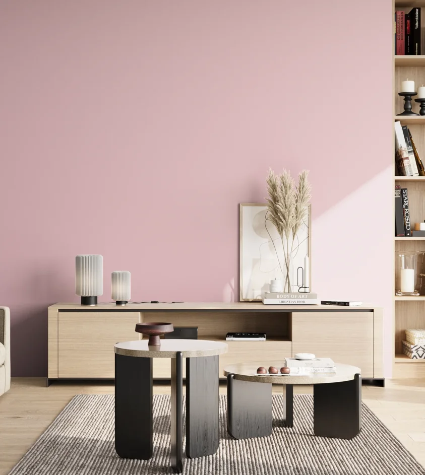 P10_SNIEZKA_salon_02_poludnie_GREY_S0520-R20B
