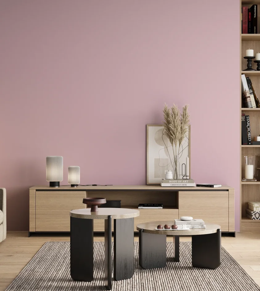 P10_SNIEZKA_salon_00_neutral_GREY_S0520-R30B