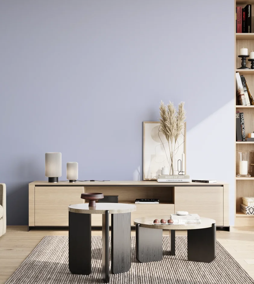 P10_SNIEZKA_salon_02_poludnie_GREY_S0520-R70B