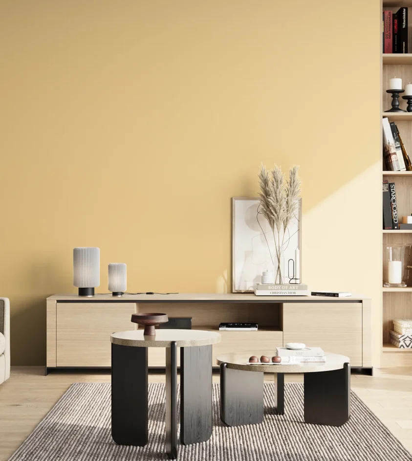 P10_SNIEZKA_salon_02_poludnie_GREY_S0520-Y20R