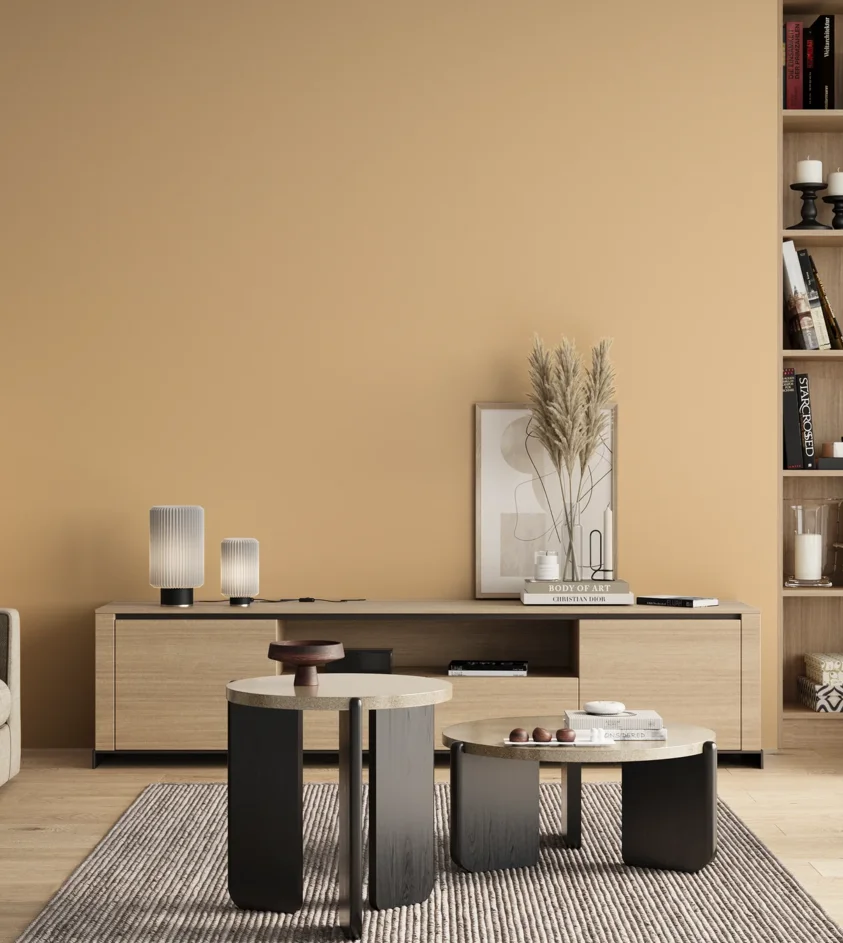 P10_SNIEZKA_salon_00_neutral_GREY_S0520-Y30R