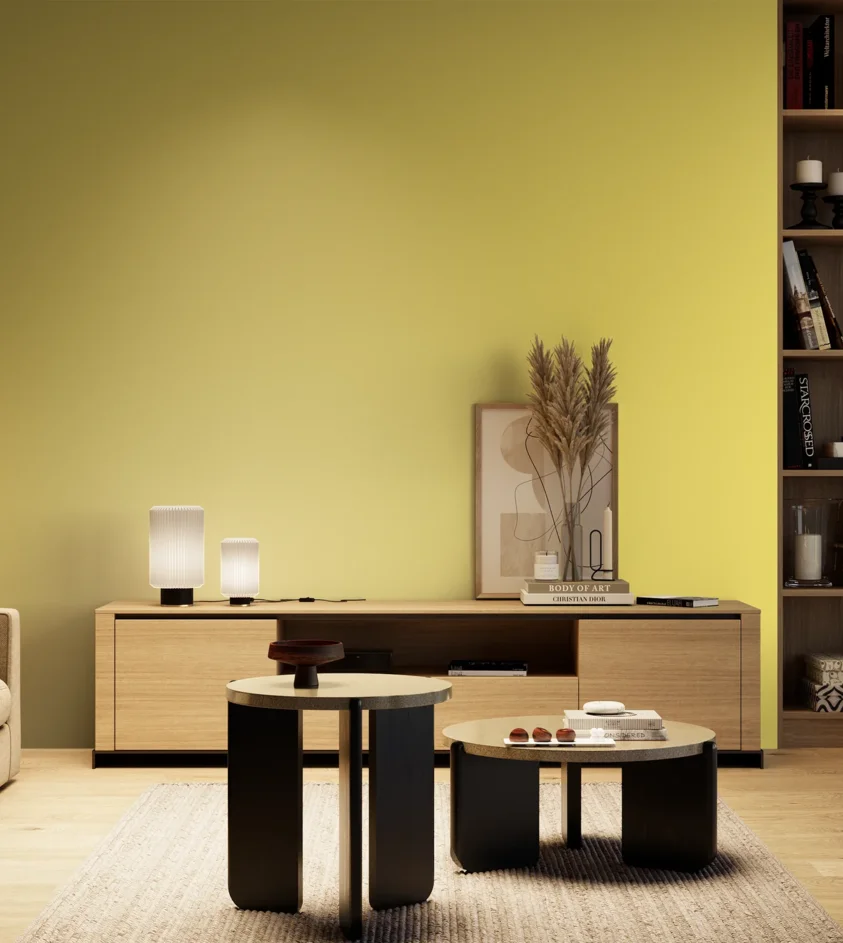 P10_SNIEZKA_salon_04_cieple_GREY_C16