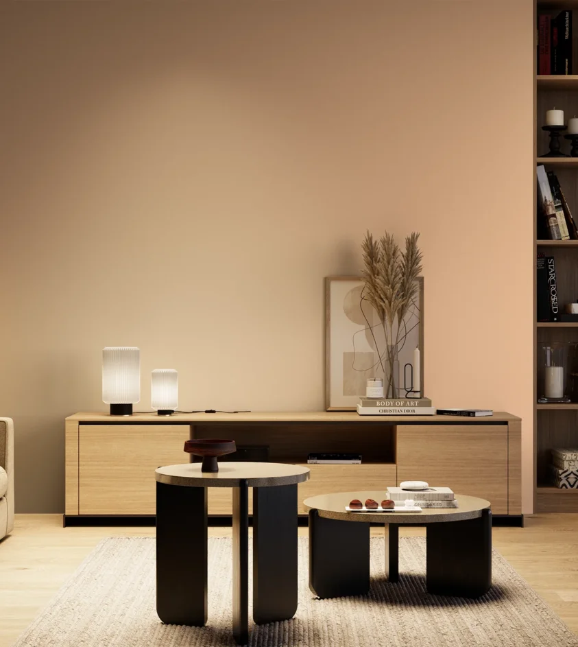 P10_SNIEZKA_salon_04_cieple_GREY_S0520-Y50R