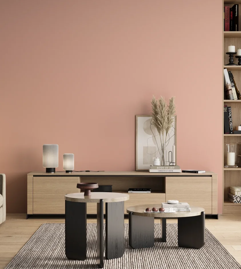 P10_SNIEZKA_salon_00_neutral_GREY_S0520-Y80R