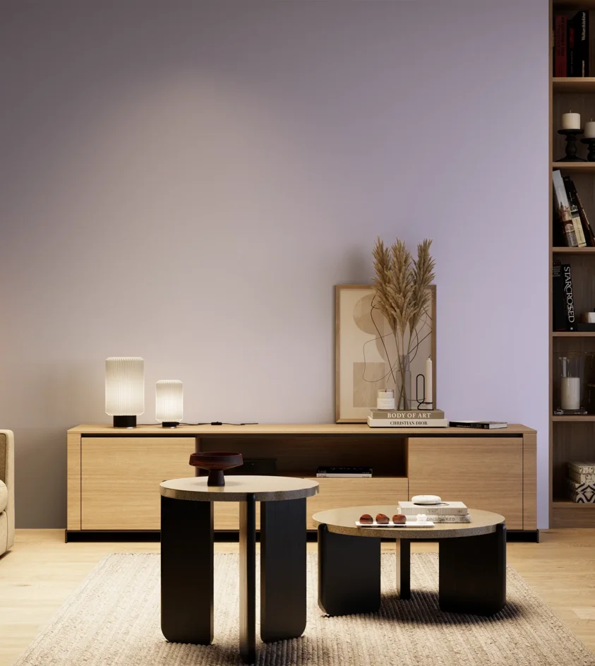 P10_SNIEZKA_salon_04_cieple_GREY_S0525-R60B