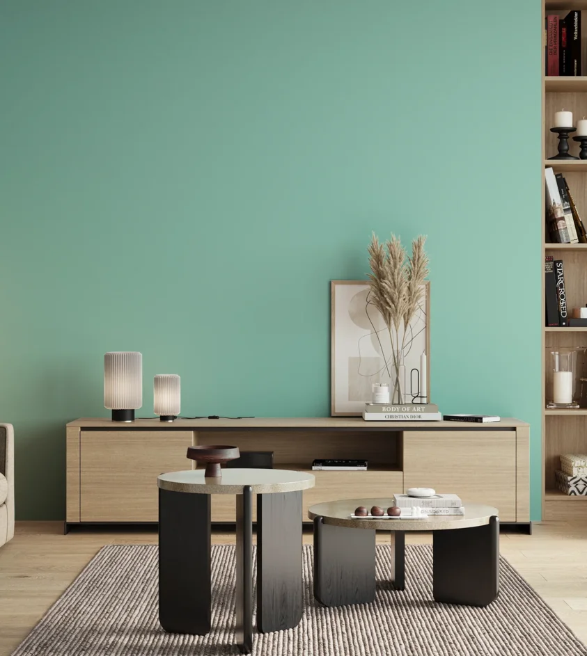 P10_SNIEZKA_salon_00_neutral_GREY_S0530-B70G
