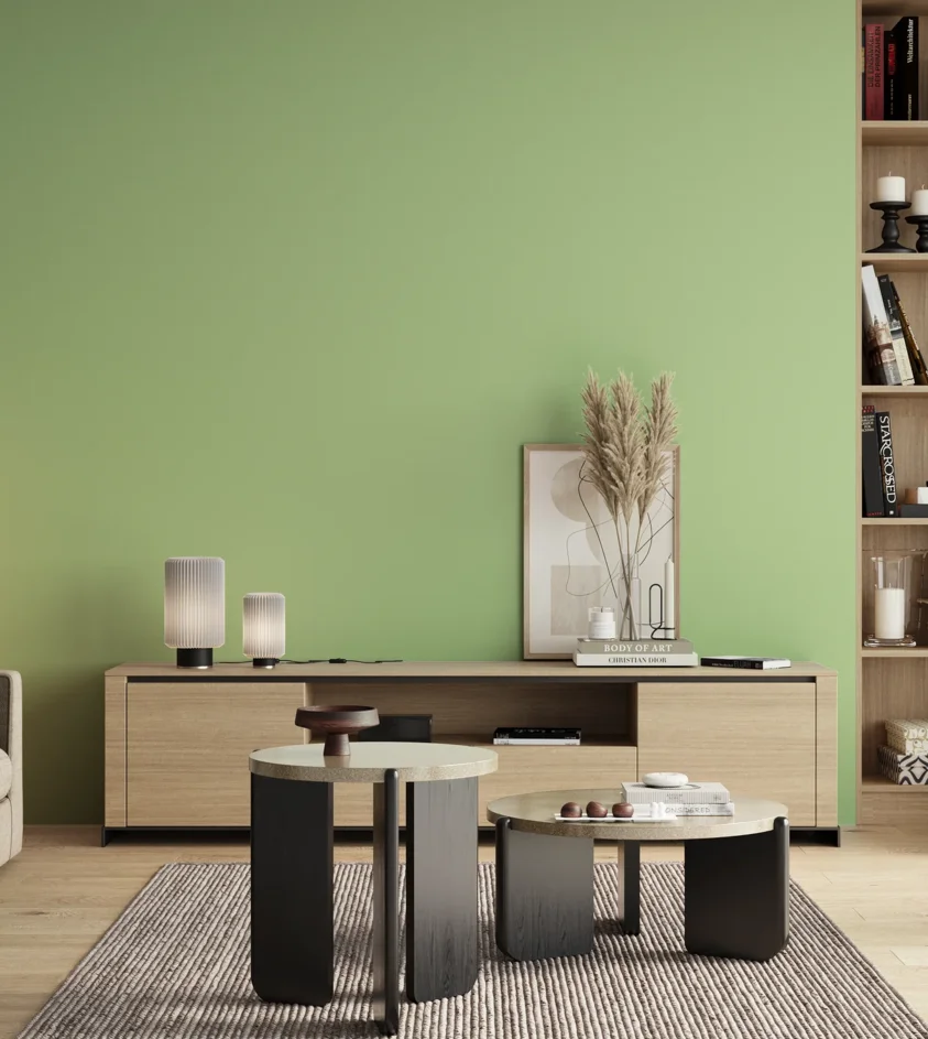 P10_SNIEZKA_salon_00_neutral_GREY_S0530-G30Y