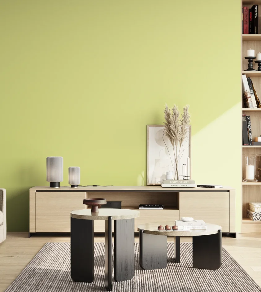 P10_SNIEZKA_salon_02_poludnie_GREY_S0530-G70Y