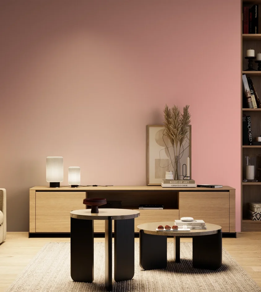P10_SNIEZKA_salon_04_cieple_GREY_S0530-R