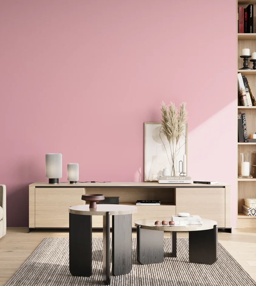 P10_SNIEZKA_salon_02_poludnie_GREY_S0530-R20B