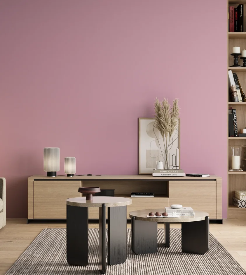 P10_SNIEZKA_salon_00_neutral_GREY_S0530-R30B