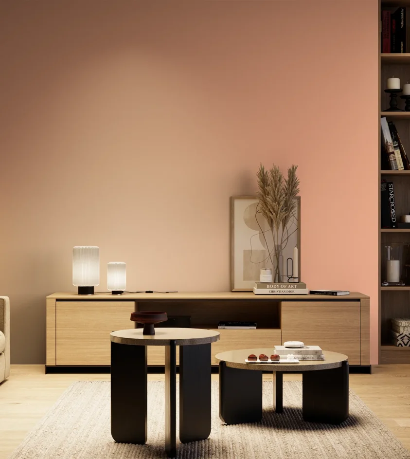 P10_SNIEZKA_salon_04_cieple_GREY_S0530-Y70R
