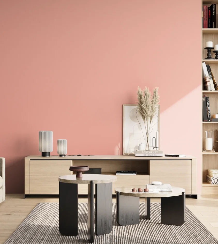 P10_SNIEZKA_salon_02_poludnie_GREY_S0530-Y90R