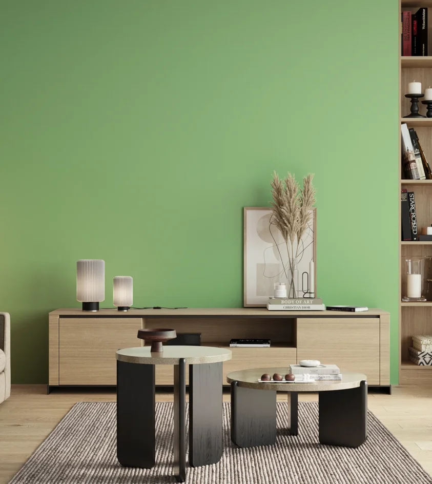 P10_SNIEZKA_salon_00_neutral_GREY_S0540-G20Y