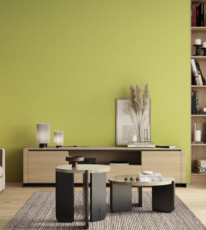P10_SNIEZKA_salon_00_neutral_GREY_S0540-G70Y
