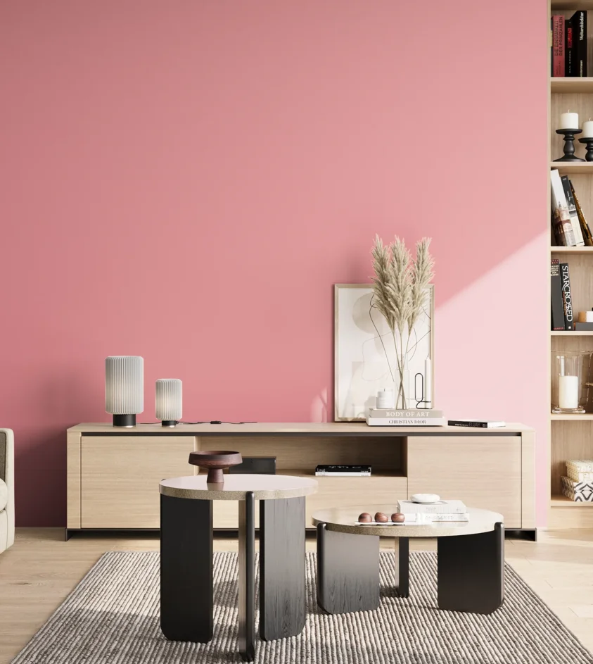 P10_SNIEZKA_salon_02_poludnie_GREY_S0540-R10B