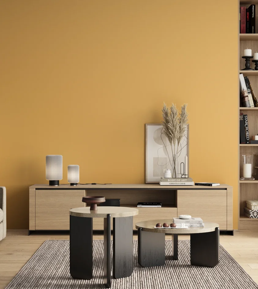 P10_SNIEZKA_salon_00_neutral_GREY_S0540-Y20R