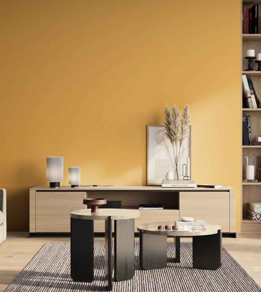 P10_SNIEZKA_salon_01_poranek_GREY_S0550-Y20R