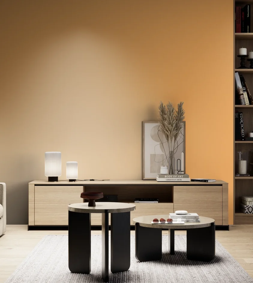 P10_SNIEZKA_salon_05_zimne_GREY_S0550-Y30R
