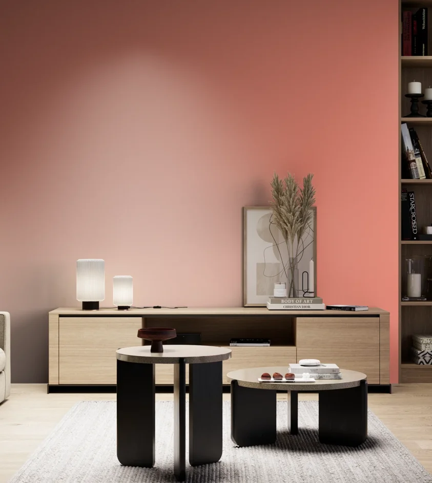 P10_SNIEZKA_salon_05_zimne_GREY_S0550-Y80R