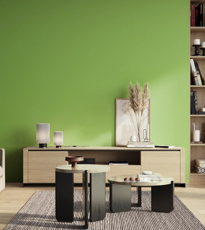 P10_SNIEZKA_salon_01_poranek_GREY_S0560-G30Y