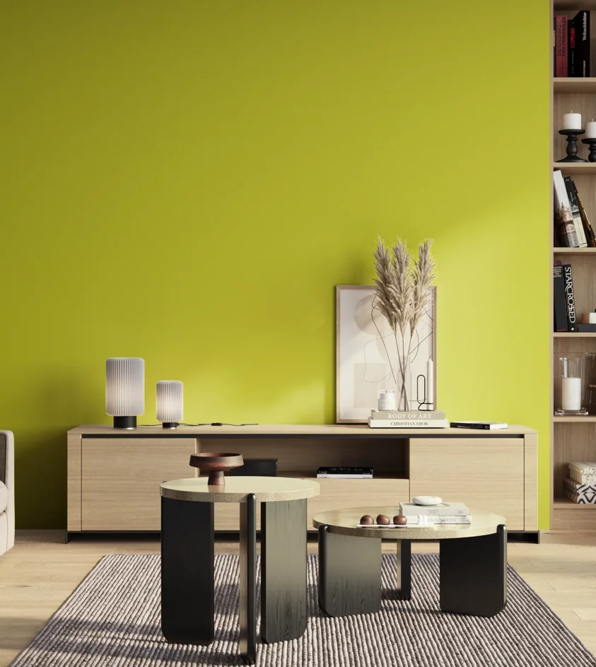 P10_SNIEZKA_salon_01_poranek_GREY_S0570-G70Y