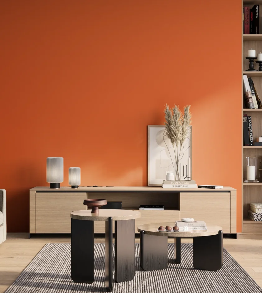 P10_SNIEZKA_salon_01_poranek_GREY_S0580-Y60R