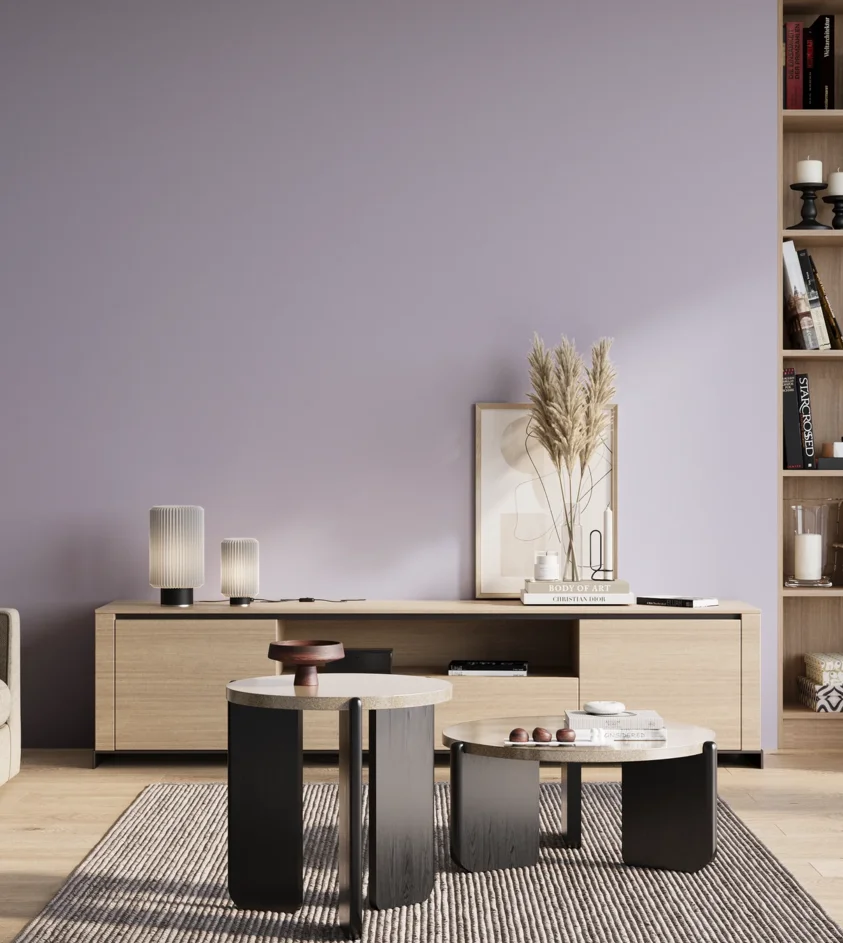 P10_SNIEZKA_salon_01_poranek_GREY_S1020-R60B