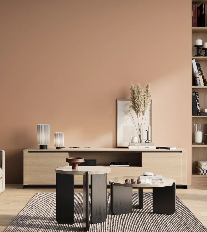 P10_SNIEZKA_salon_01_poranek_GREY_S1020-Y60R