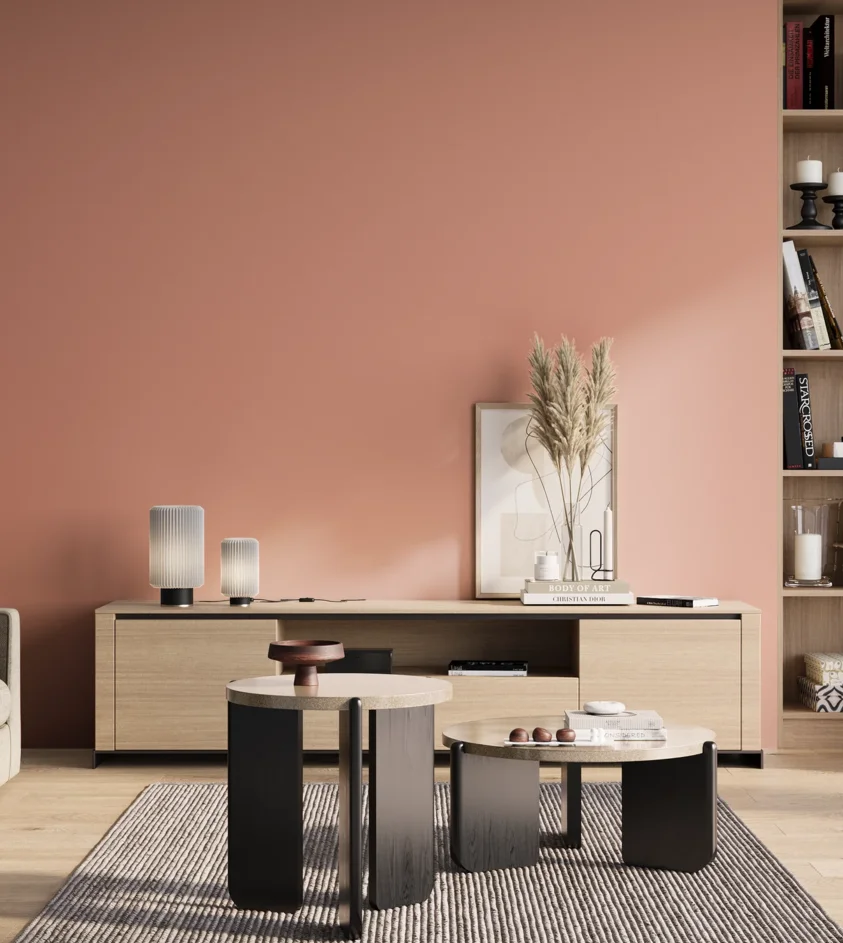 P10_SNIEZKA_salon_01_poranek_GREY_S1030-Y80R