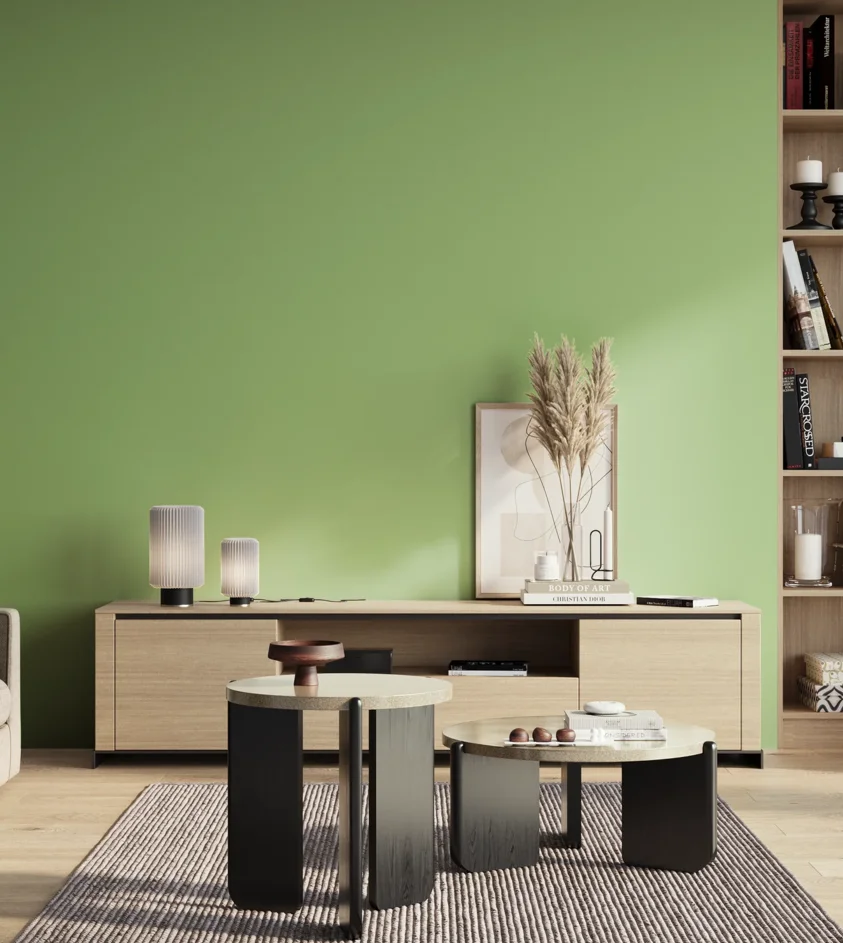 P10_SNIEZKA_salon_01_poranek_GREY_S1040-G30Y
