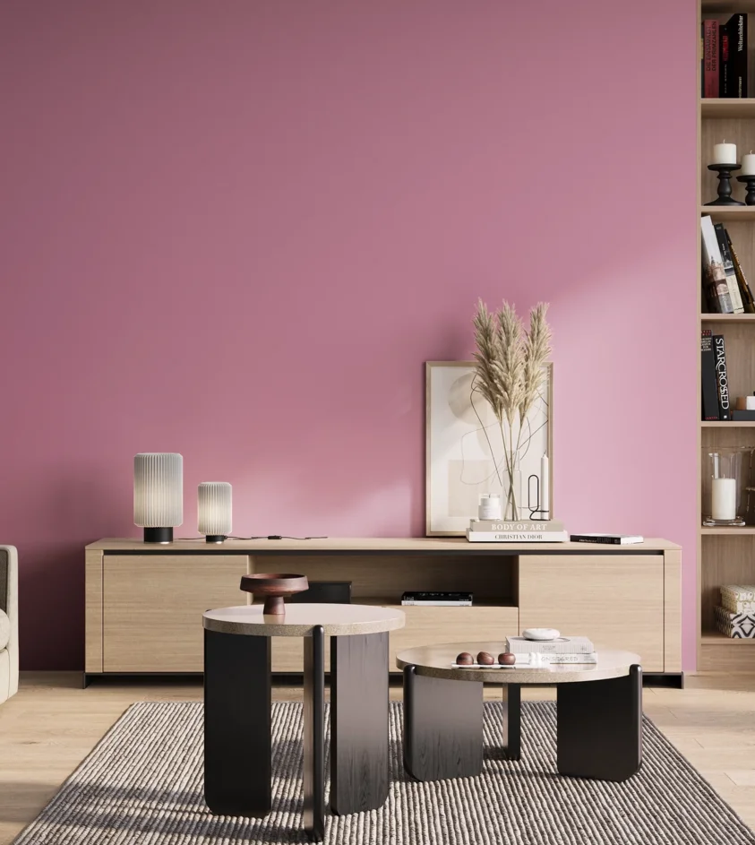 P10_SNIEZKA_salon_01_poranek_GREY_S1040-R30B