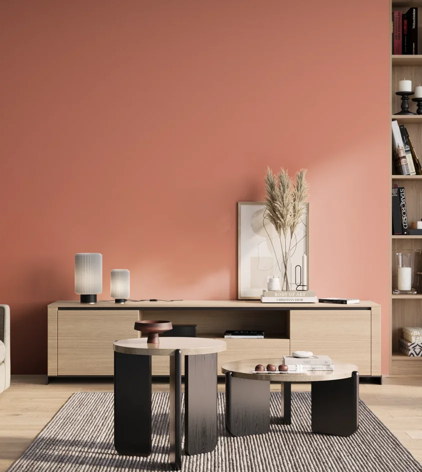 P10_SNIEZKA_salon_01_poranek_GREY_S1040-Y80R