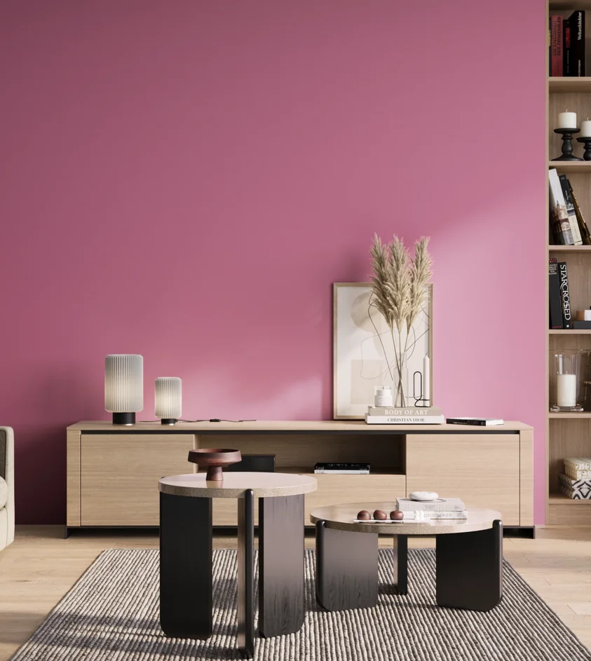 P10_SNIEZKA_salon_01_poranek_GREY_S1050-R30B