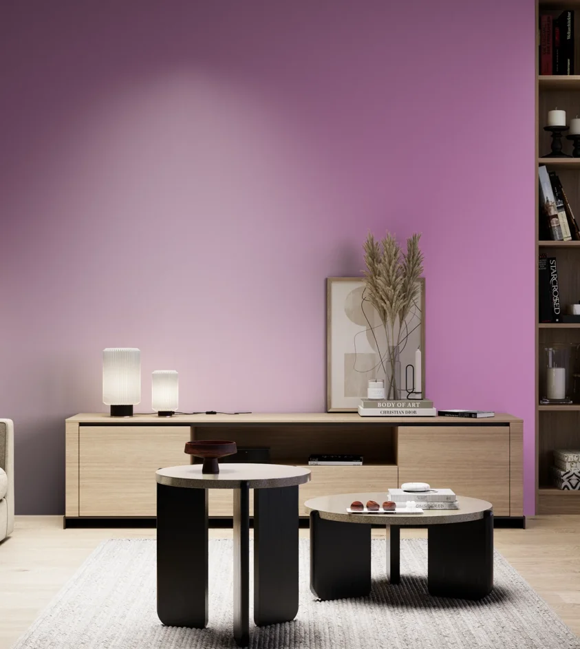 P10_SNIEZKA_salon_05_zimne_GREY_S1050-R40B