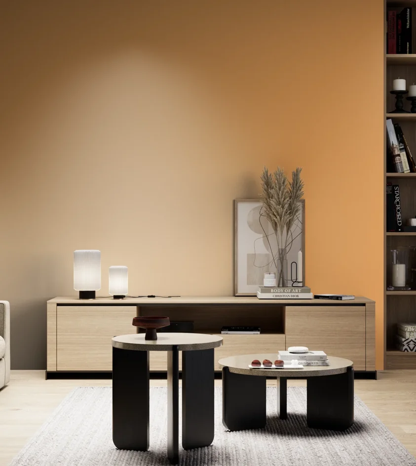 P10_SNIEZKA_salon_05_zimne_GREY_S1050-Y30R