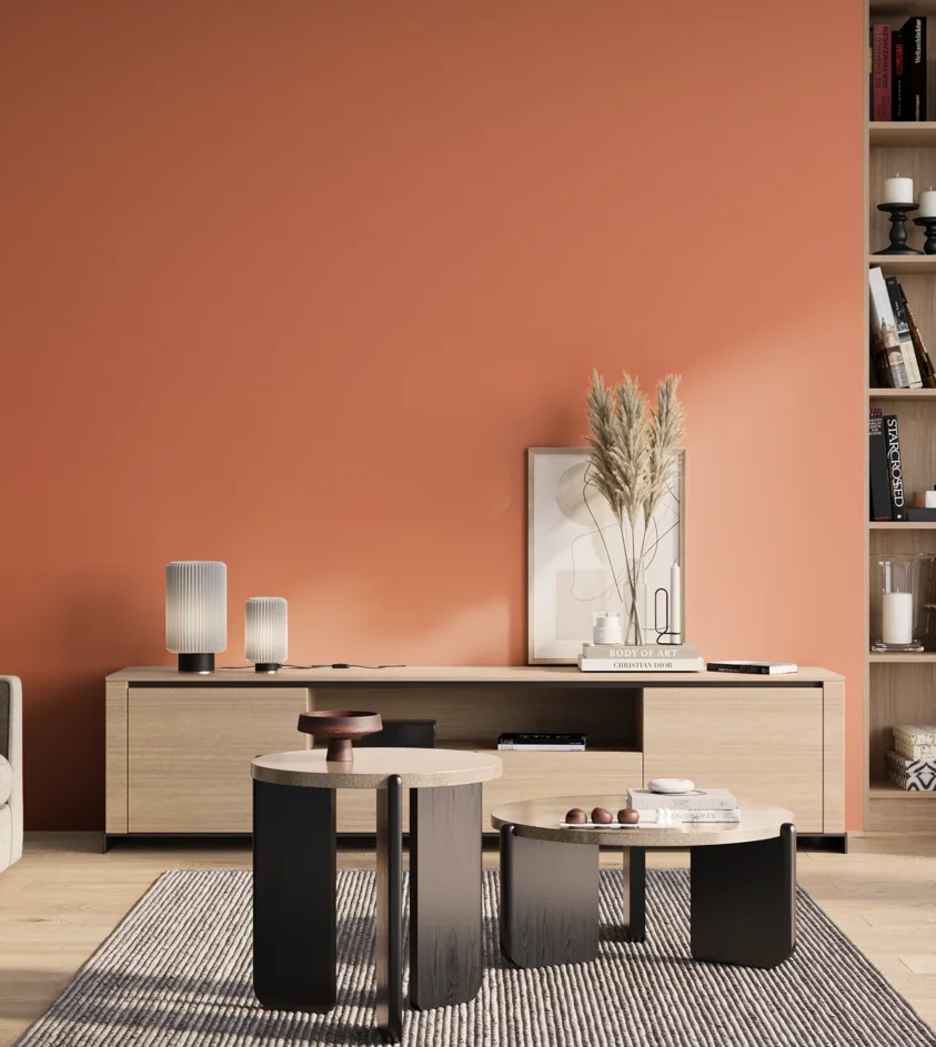 P10_SNIEZKA_salon_01_poranek_GREY_S1050-Y70R