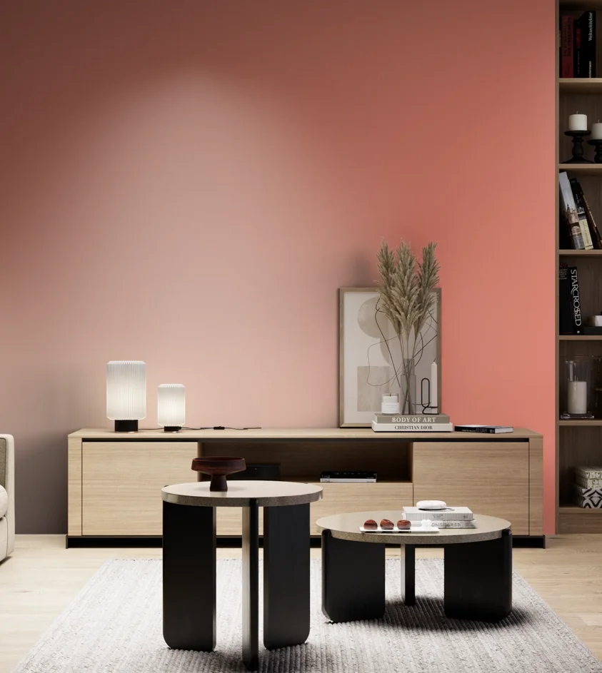 P10_SNIEZKA_salon_05_zimne_GREY_S1050-Y80R