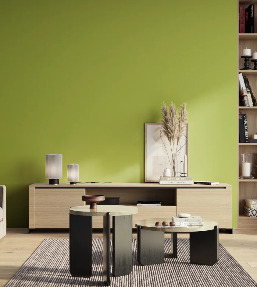 P10_SNIEZKA_salon_01_poranek_GREY_S1060-G50Y