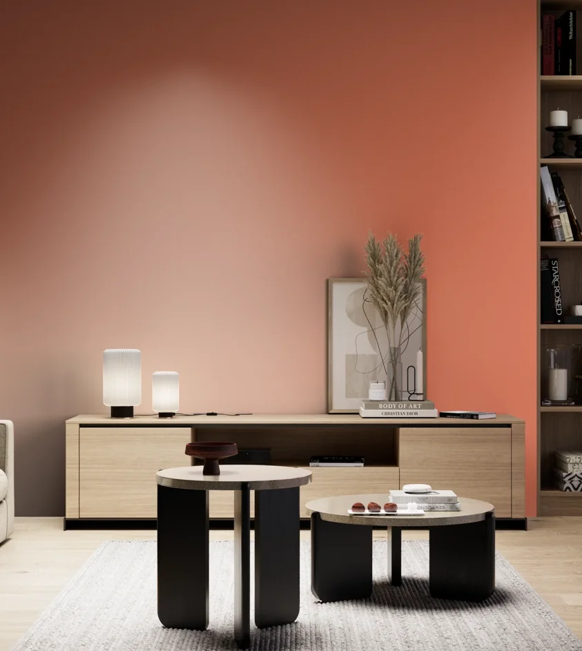 P10_SNIEZKA_salon_05_zimne_GREY_S1060-Y70R