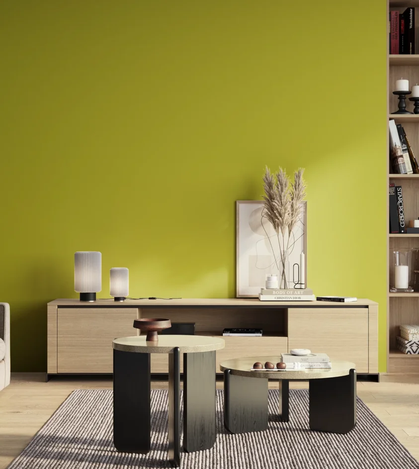 P10_SNIEZKA_salon_01_poranek_GREY_S1070-G70Y