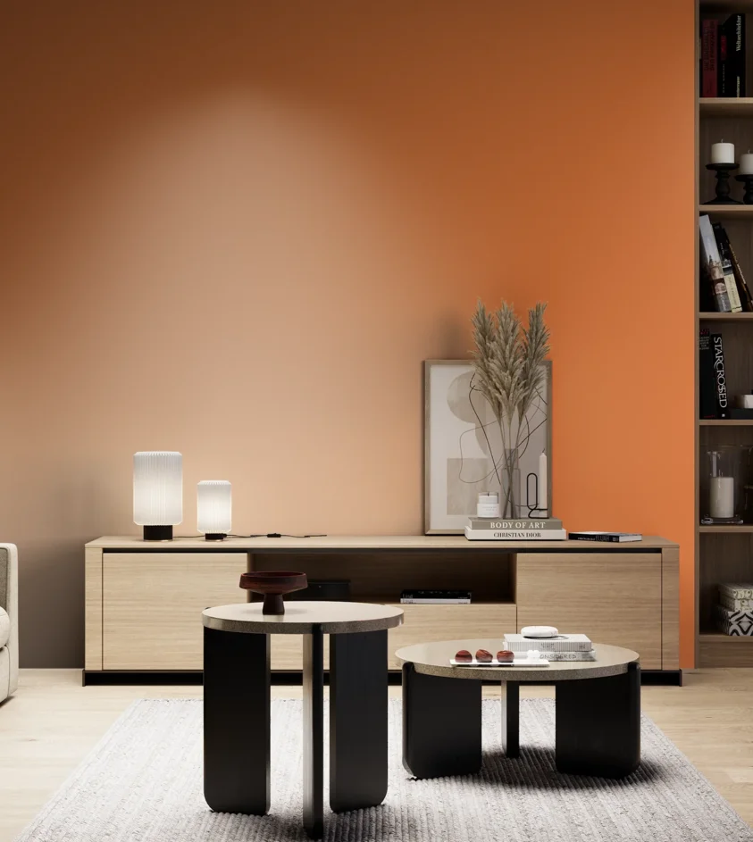P10_SNIEZKA_salon_05_zimne_GREY_S1070-Y50R
