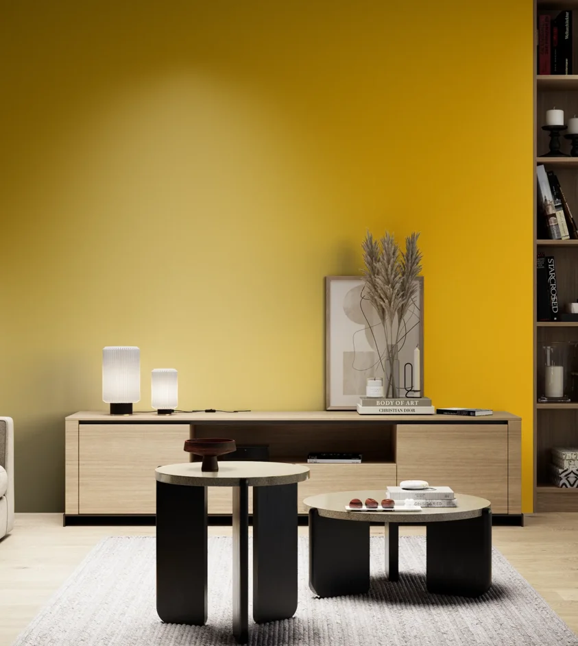 P10_SNIEZKA_salon_05_zimne_GREY_S1080-Y10R