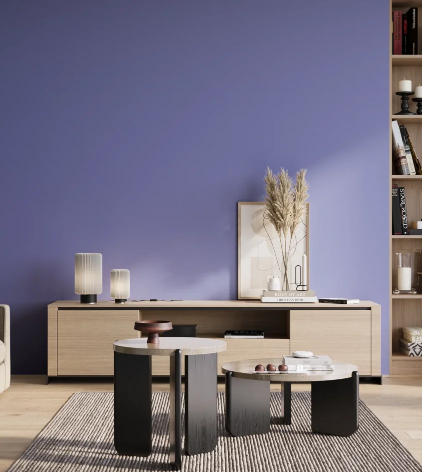 P10_SNIEZKA_salon_01_poranek_GREY_S1555-R70B