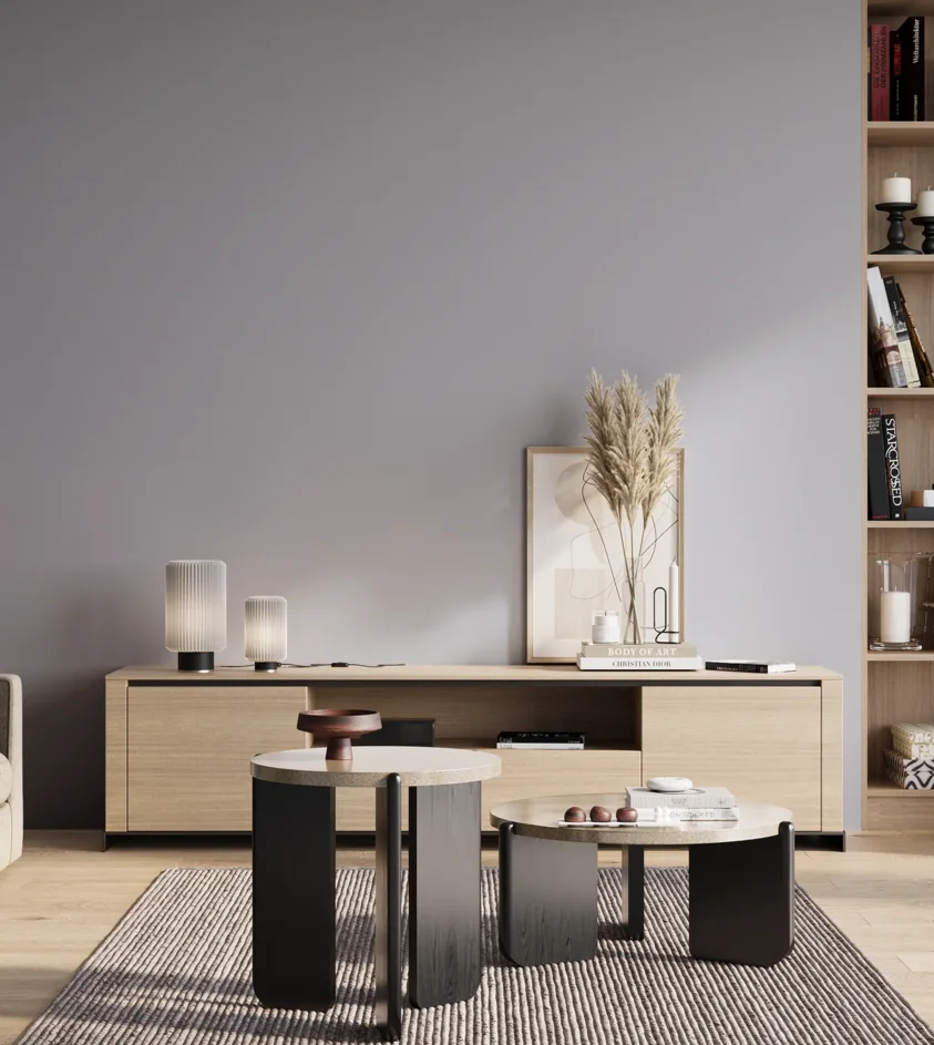 P10_SNIEZKA_salon_01_poranek_GREY_S2010-R70B