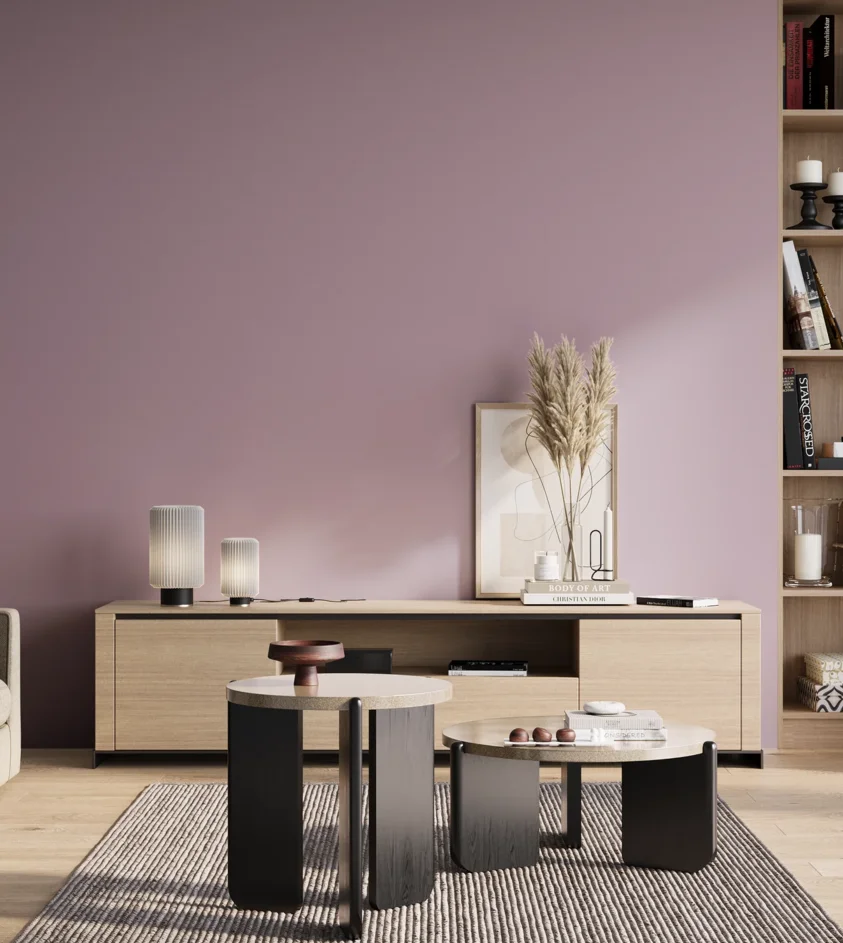 P10_SNIEZKA_salon_01_poranek_GREY_S2020-R40B