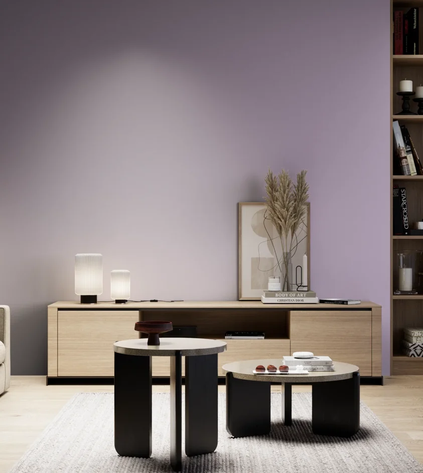 P10_SNIEZKA_salon_05_zimne_GREY_S2020-R50B