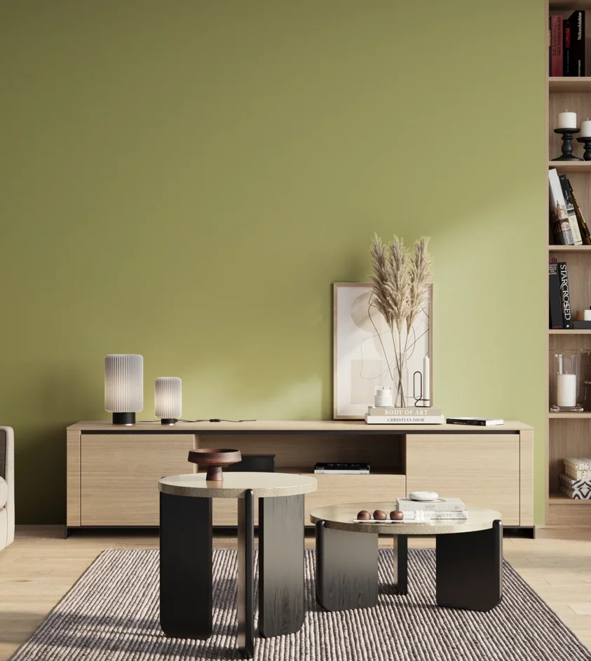 P10_SNIEZKA_salon_01_poranek_GREY_S2030-G60Y